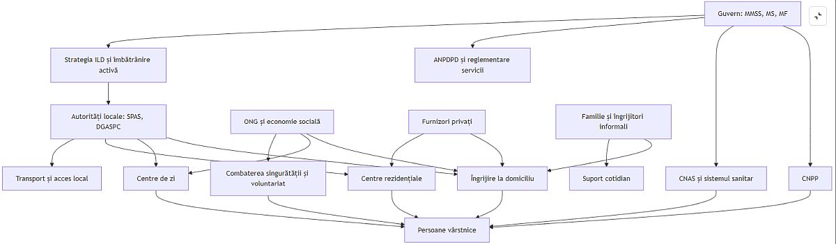 Schema rezumă arhitectura reală, fragmentată, a intervenției